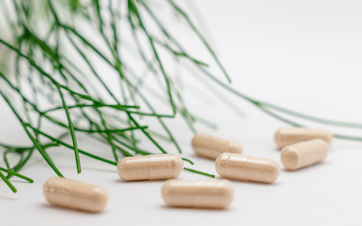 MSM supplement powder and green vegetables